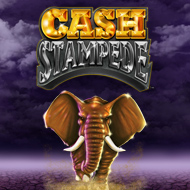 Cash stampede