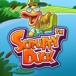 300x300 scruffy duck