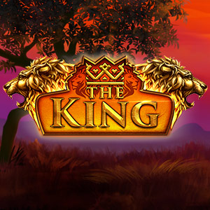 300x300 theking