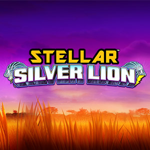 300x300 stellarsilverlion