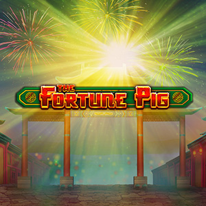 300x300 fortunepig