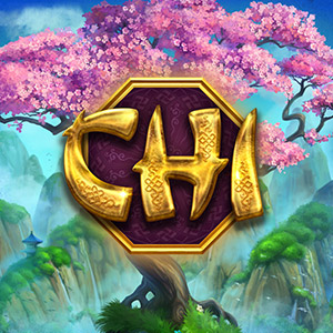300x300 chi