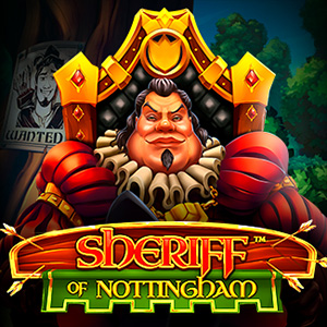 300x300 sheriff